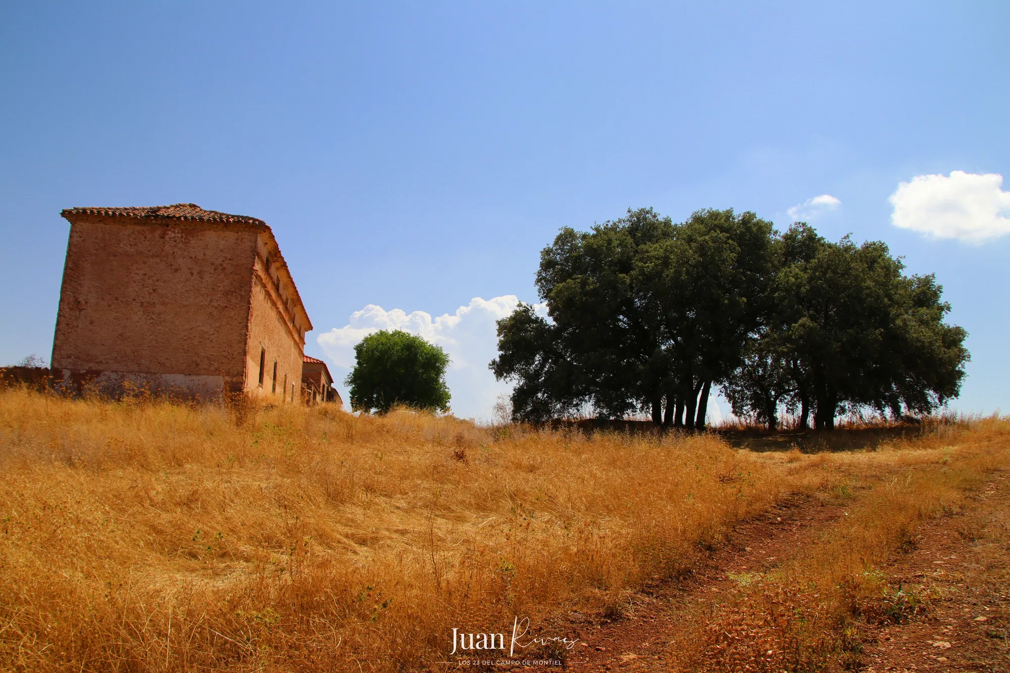 Montiel - fotografía 2